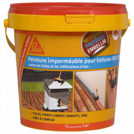 SIKA - Résine pour traitement des murs intérieurs humides Imper