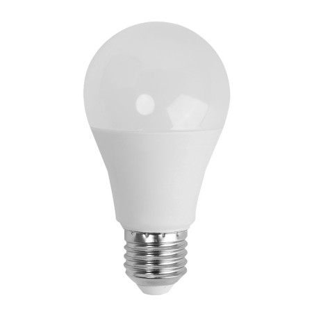 Ampoule LED E27 Standard 12W (équivalent 73W) - Blanc froid