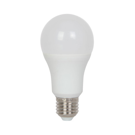 Ampoule LED E27 Standard 15W (équivalent 83W) - Blanc froid