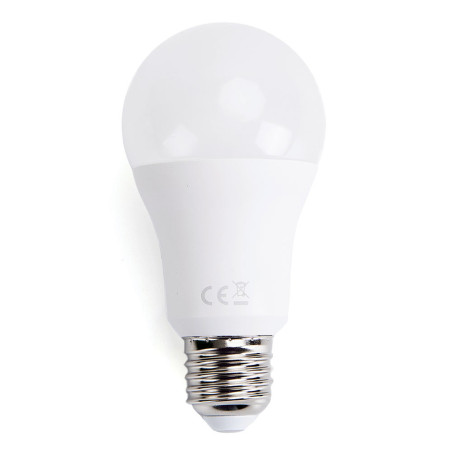 Ampoule LED E27 Standard 17W (équivalent 96W) - Blanc froid