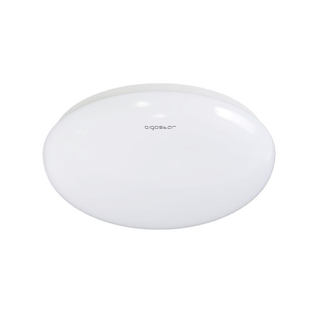 Applique LED Plafonnier dôme 24W (équivalent 150W) - Blanc froid