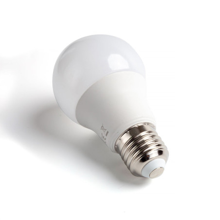 Lot 2 ampoules LED E27 Standard 11W (équivalent 69W) - Blanc froid