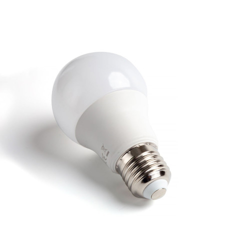 Lot 2 ampoules LED E27 Standard 12W (équivalent 73W) - Blanc froid