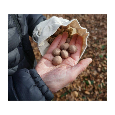 Sachet bombes à graines de fleurs 16 variétés 3,70m2