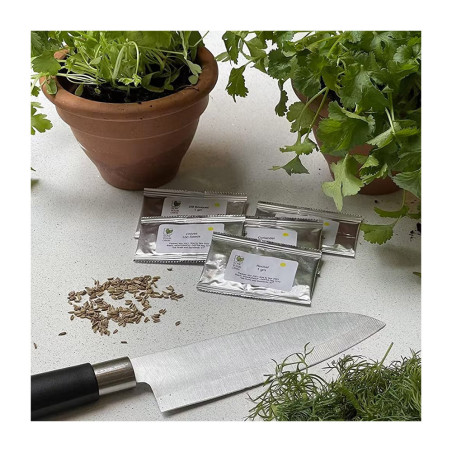 Kit de plantation tout-en-un 6 plantes aromatiques