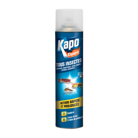 Aérosol tous insectes Expert Kapo 300ml