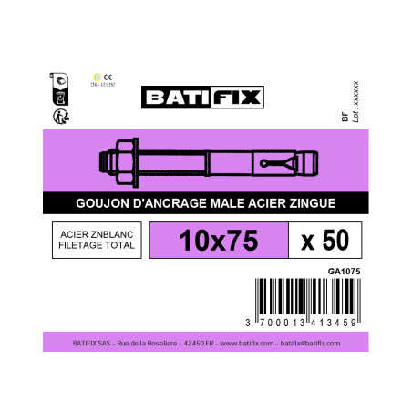 Boite 50 goujons d'ancrage 10 x 75mm zingué - Batifix