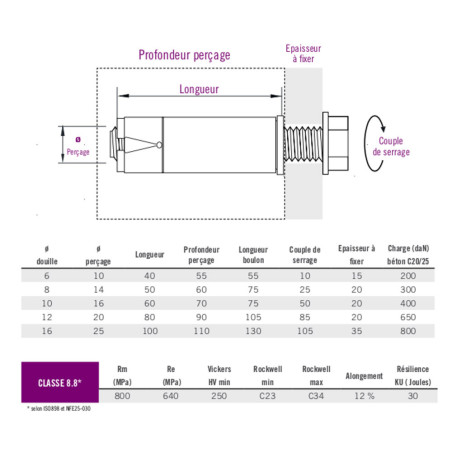 Boite 25 douilles à expansion 6 x 40mm acier zingué blanc - Batifix