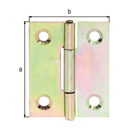 Charnière demi-large galvanisé 41 x 33mm - Alberts