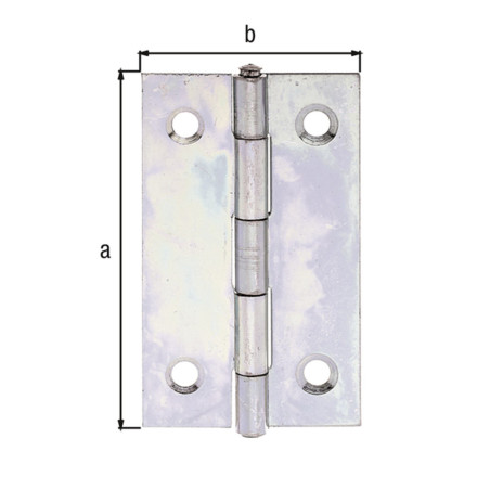 Boite 20 charnières étroites galvanisé 51 x 30mm - Alberts